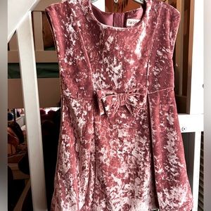 Velvet Rose Pink Dress